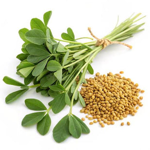 FENUGREEK EXTRACT